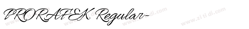 PRORAFEK Regular字体转换